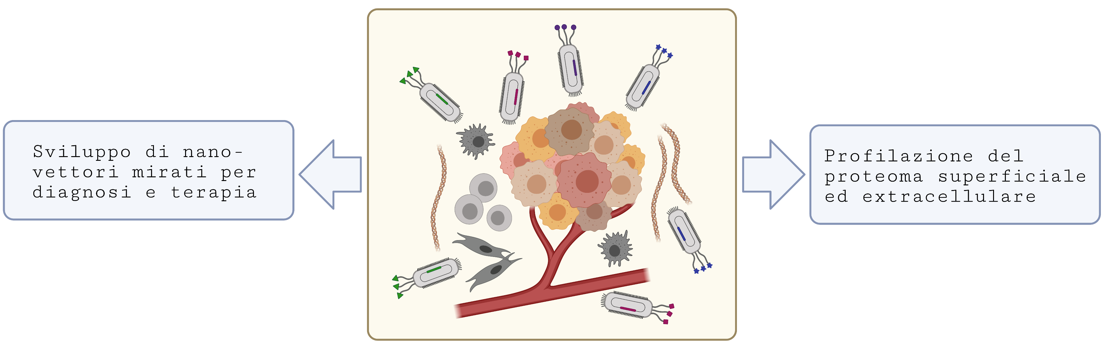 upload_Phage_display-TME6.png